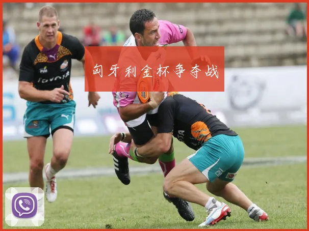 匈牙利金杯争夺战