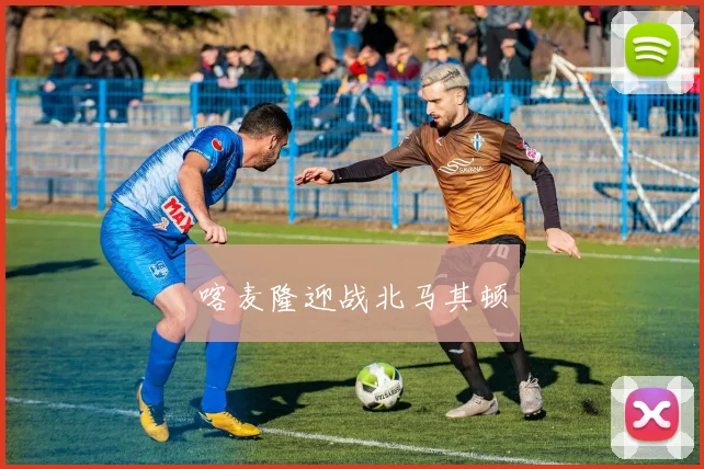 喀麦隆迎战北马其顿