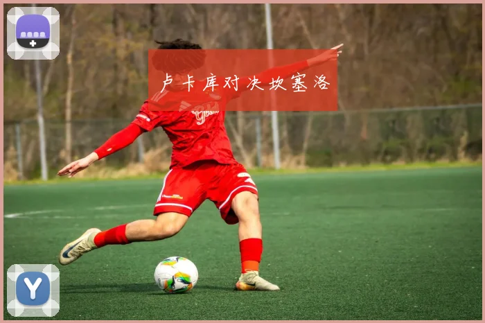 卢卡库对决坎塞洛