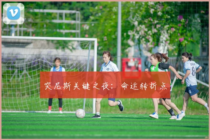 突尼斯关键之夜：命运转折点