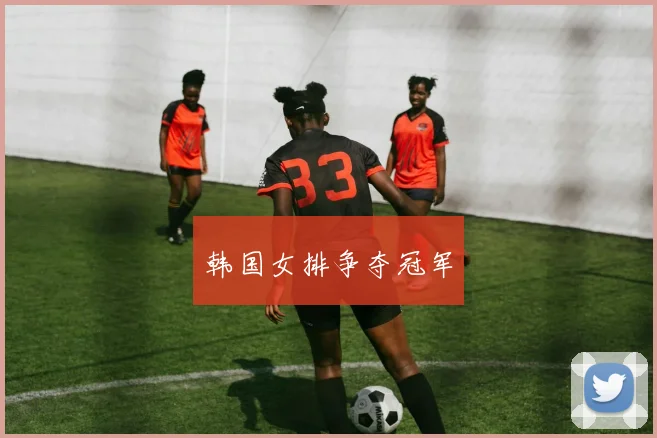 韩国女排争夺冠军