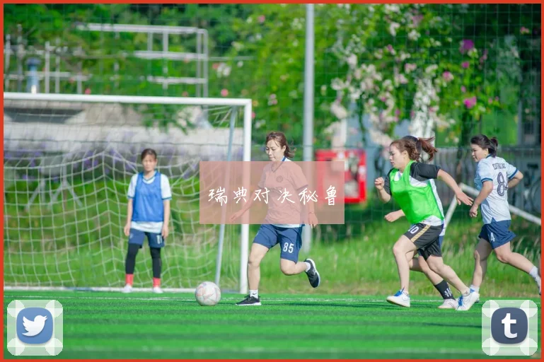 瑞典对决秘鲁