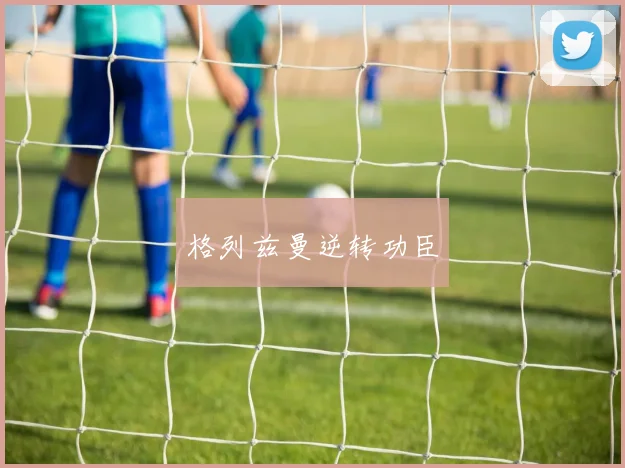 格列兹曼逆转功臣