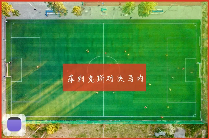 菲利克斯对决马内