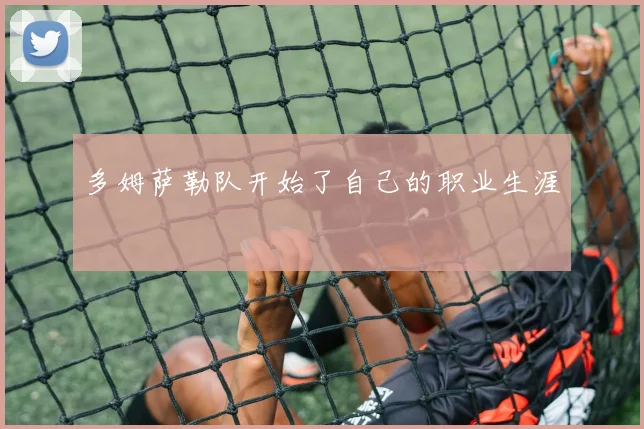 多姆萨勒队开始了自己的职业生涯
