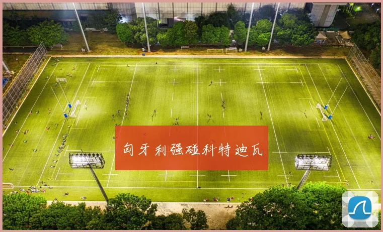 匈牙利强碰科特迪瓦