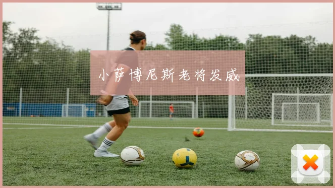 小萨博尼斯老将发威