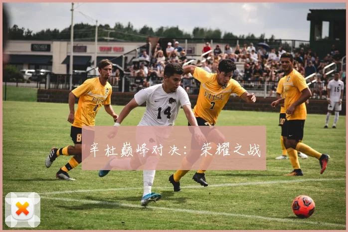 辛杜巅峰对决：荣耀之战
