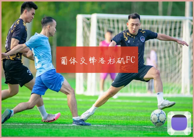 葡体交锋洛杉矶FC