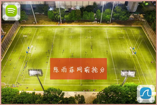 陈雨菲网前抢分
