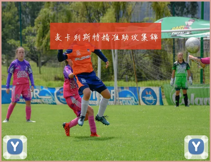 麦卡利斯特精准助攻集锦