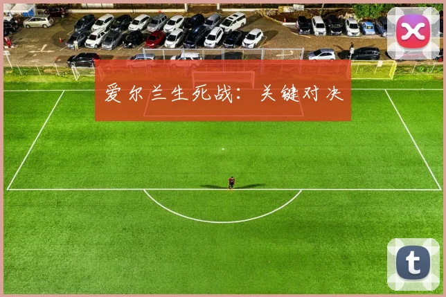 爱尔兰生死战：关键对决