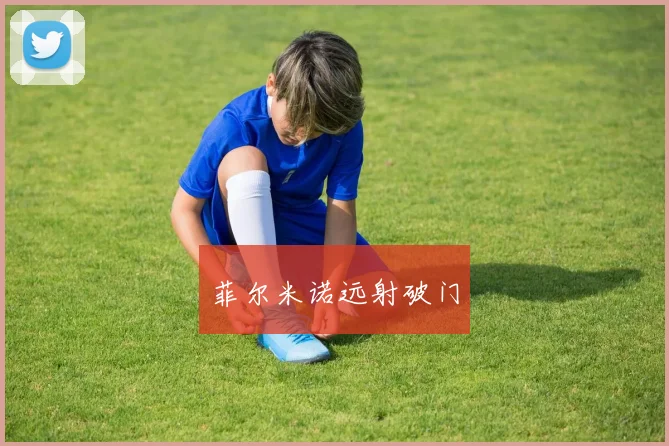 菲尔米诺远射破门