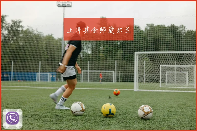土耳其会师爱尔兰