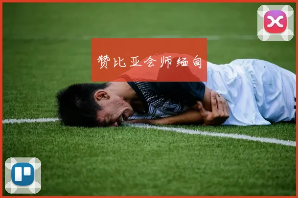 赞比亚会师缅甸