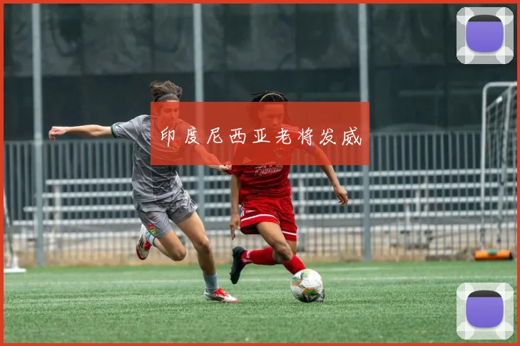 印度尼西亚老将发威