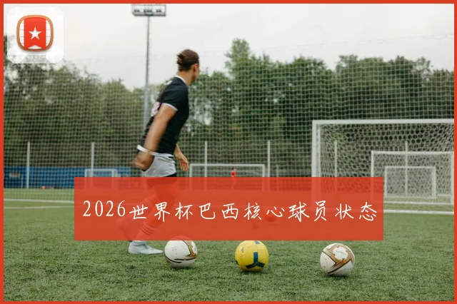 2026世界杯巴西核心球员状态