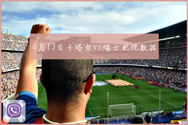 6月13日卡塔尔vs瑞士犯规数据